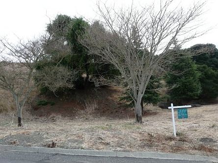 2nd image of 500 Bear Oaks Ln