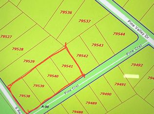 Pine Crest St, Shepherd, TX 77371