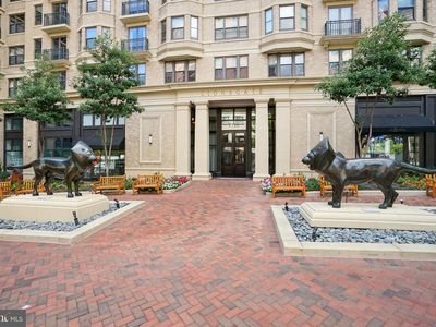 7710 Woodmont Ave APT 303, Bethesda, MD, 20814