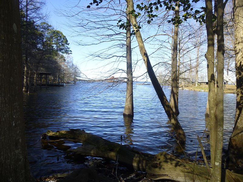 1st image of 342 Lakeshore