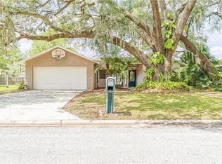 1722 Dove Field Pl, Brandon, FL 33510