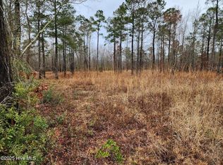 8055 N Us 17 Hwy, Vanceboro, NC 28586