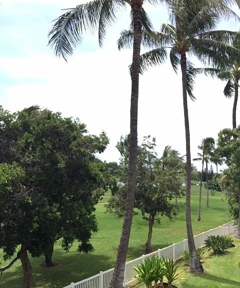 Aliinui Dr — Photo 20