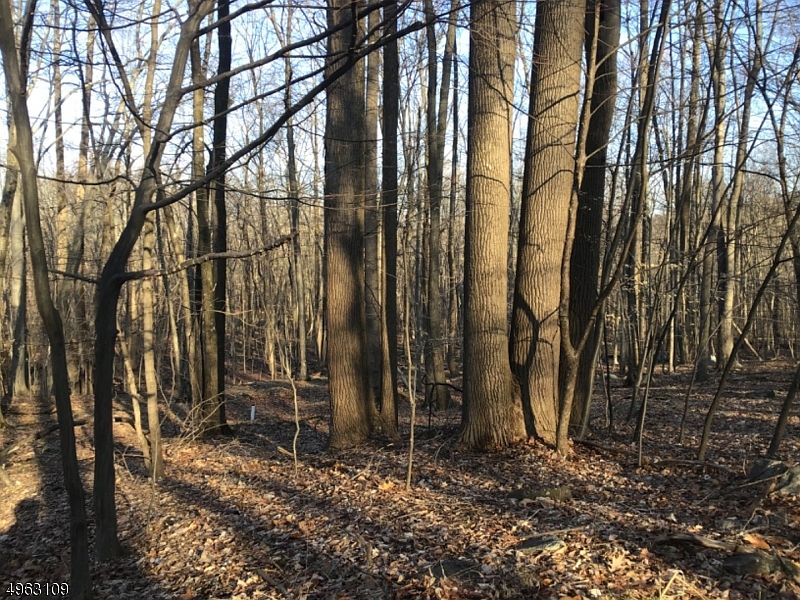 2nd image of 645-649 Woodglen Rd
