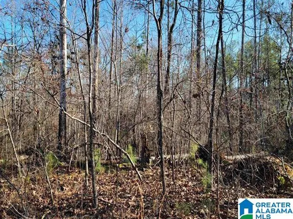 Anchor Rdg #18, Wedowee, AL 36278