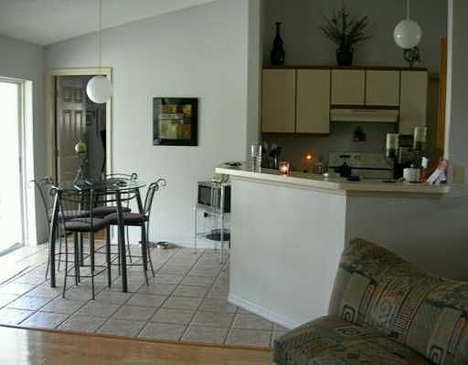 Bright Kitchen with Backyard View