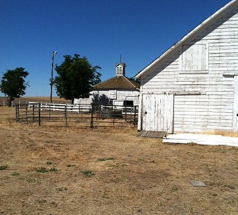 Barns