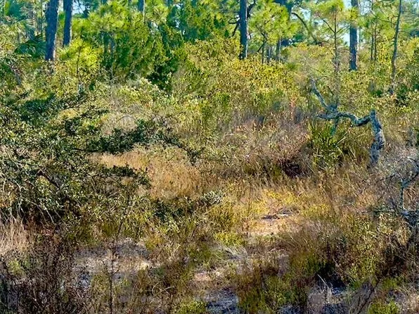 1405 Evodia Ct, Eastpoint, FL 32328