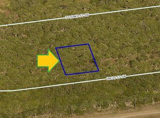 1073 Uncas St SW, Palm Bay, FL 32908