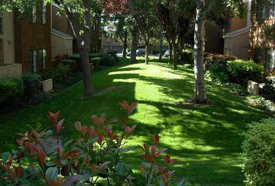 Looking Out from Patio