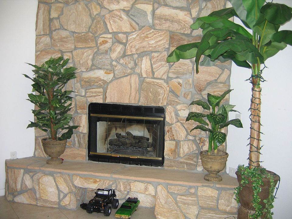 Fireplace gas or wood