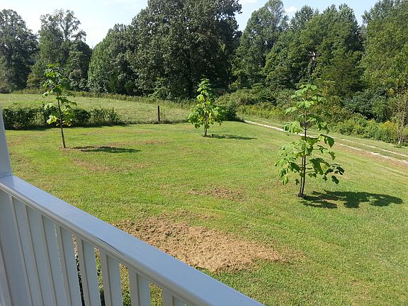 View of side yard and drive 