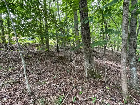 LOT 3 Morgan Dr, Young Harris, GA 30582