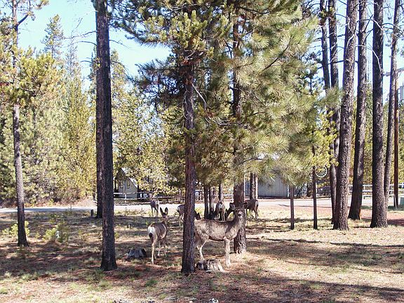 5th image of 17225 Crane Dr