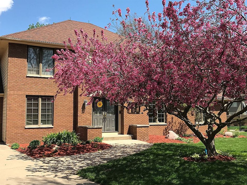 Crabapple tree in full bloom