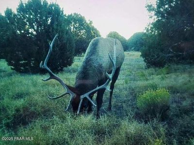 9860 Cortez Ranch Rd, Williams, AZ, 86046