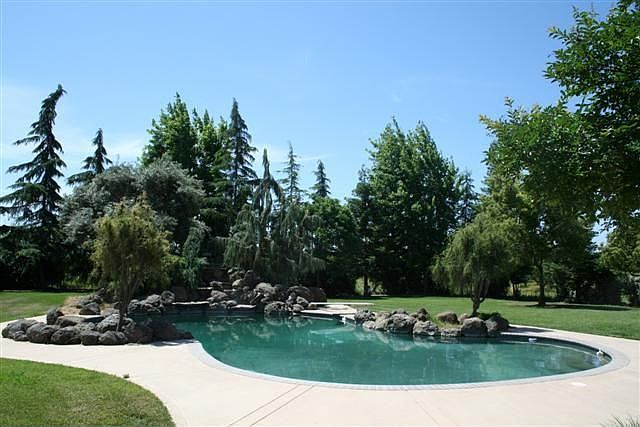 Beautiful Pool