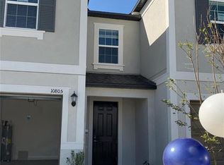 10805 Fanning Springs Ct, Tampa, FL 33647