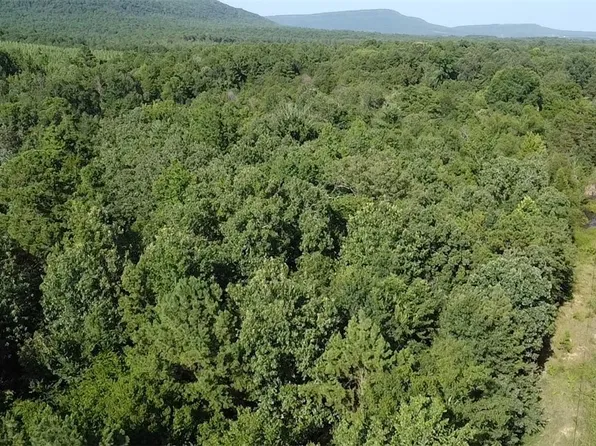 Slo Fork Road Total Of #22, Dardanelle, AR 72834
