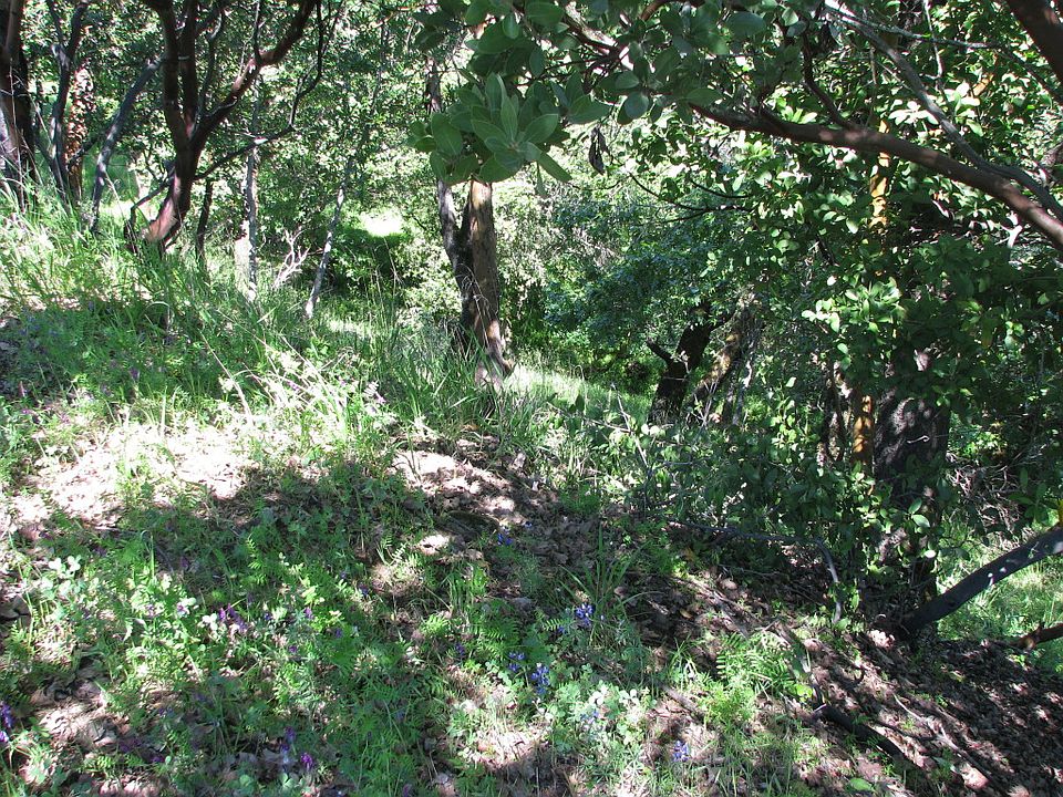 1st image of Lot 148 Sunny Hill Ln #148