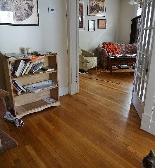 151 Forest Hills St #1R — Photo 7