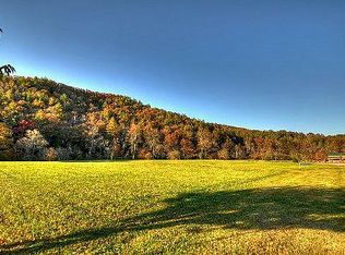 Downy Rd #2, Blue Ridge, GA 30513