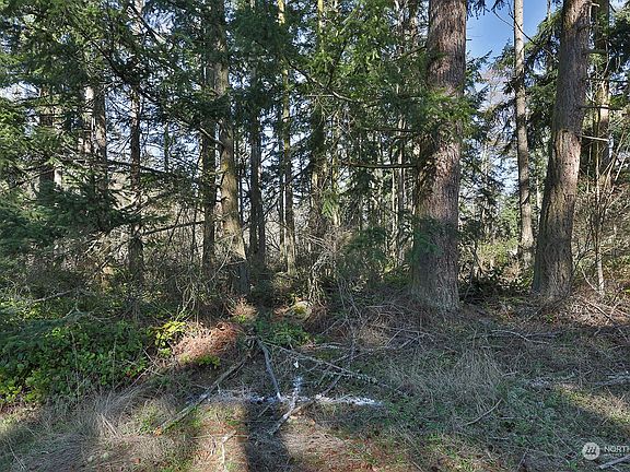 2nd image of 0 Lot 11 Arbor Drive
