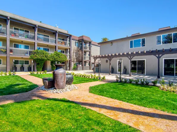 Olive Tree Apartments