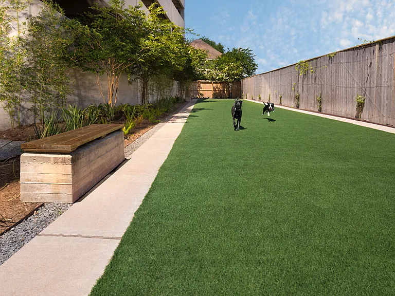 On-site dog park