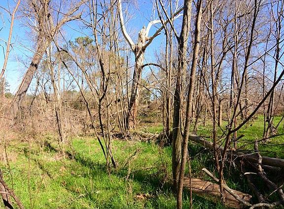 5th image of 1225 W State Highway 71