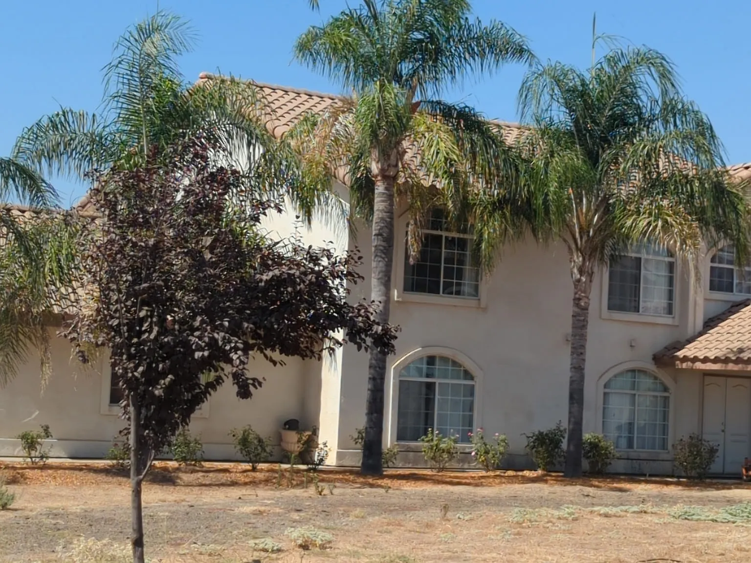 5 bed, 3017 sqft, $3,600 — Photo 3