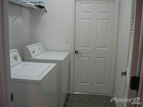 IMG_3660 (Small) - Copy
