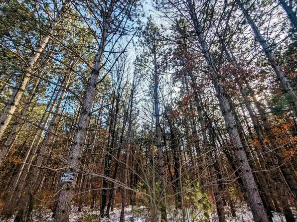 5.01AC 16th Street #9, Necedah, WI 54646