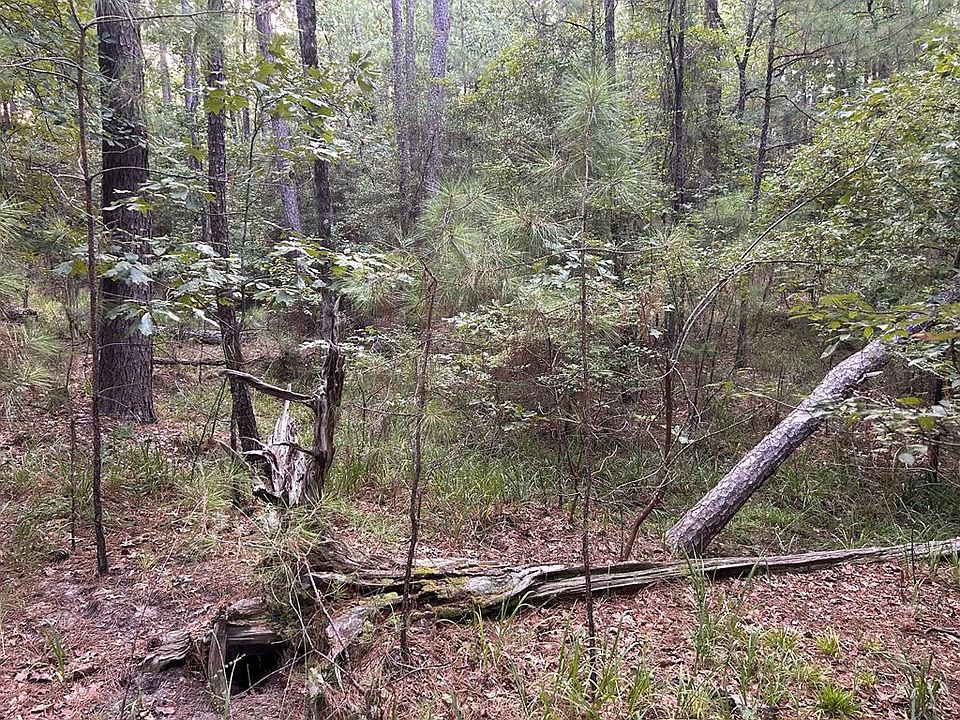 1st image of LOT 124 Crooked Branch Rd