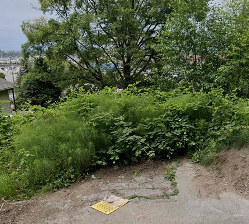 2nd image of 4026 17th Ave SW