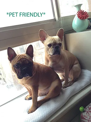 Rented by Bohemia Realty Group | media 12