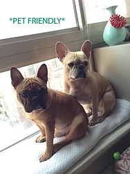 Rented by Bohemia Realty Group