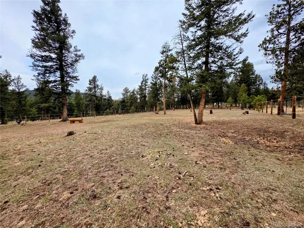 Elk Horn Court LOT 12, Bailey, CO 80421