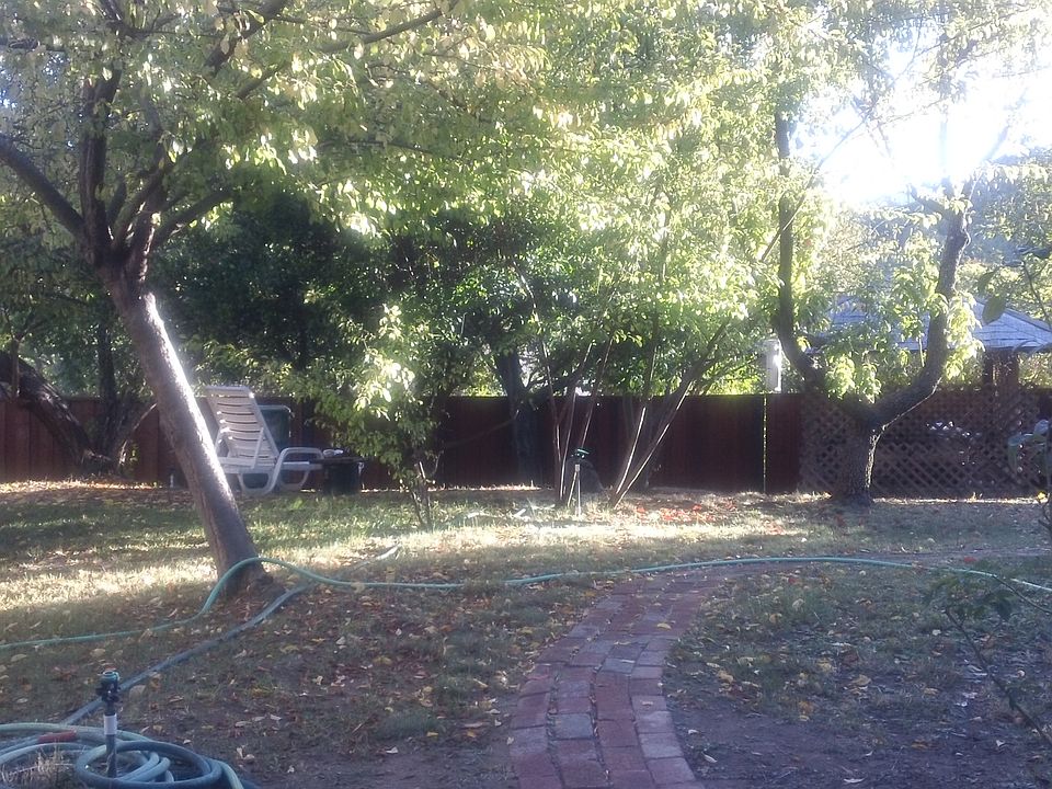 Back yard