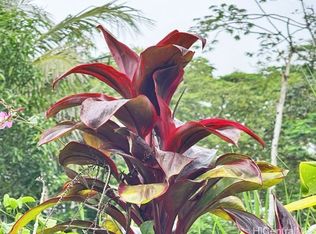 14-3593 Oahu Rd, Pahoa, HI 96778