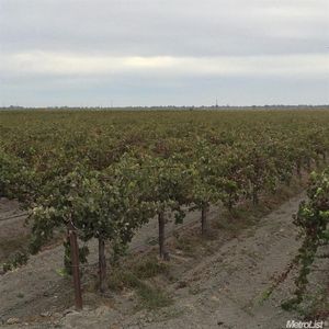 51220 Pumphouse Rd, Clarksburg, CA, 95612