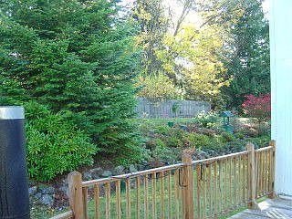 Garden View From Back Deck