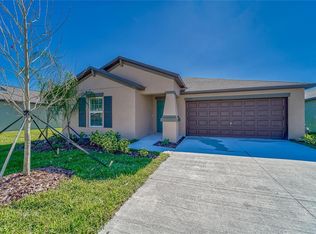 10245 Shady Preserve Dr, Riverview, FL 33578