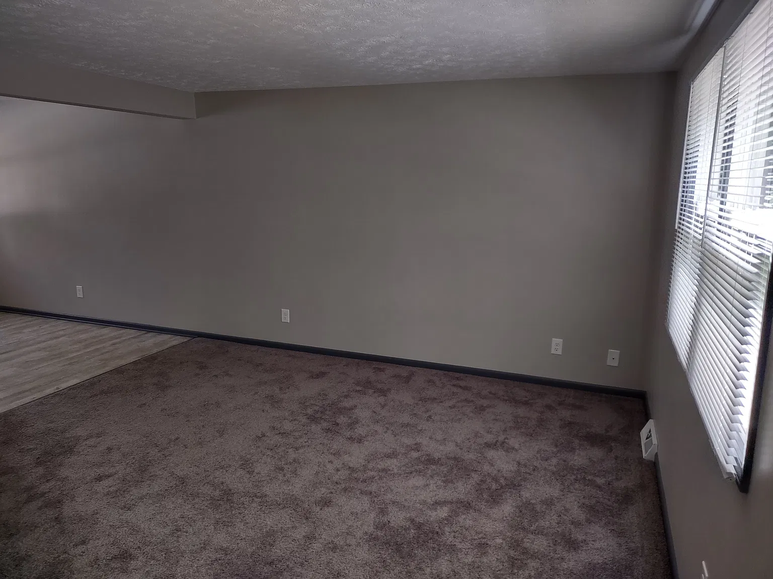 2 bed, $1,150 — Photo 4