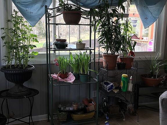 family room lots of light