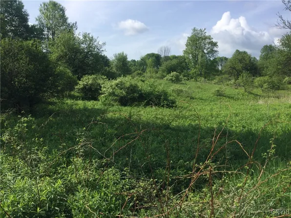 0 Blue Rd #2, Barneveld, NY 13304
