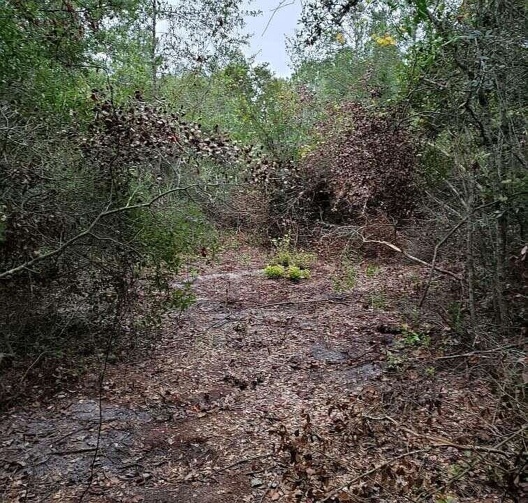 2nd image of 5270 County Road 214