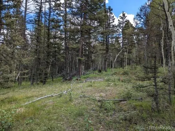 456 Timberline Drive, Guffey, CO 80820