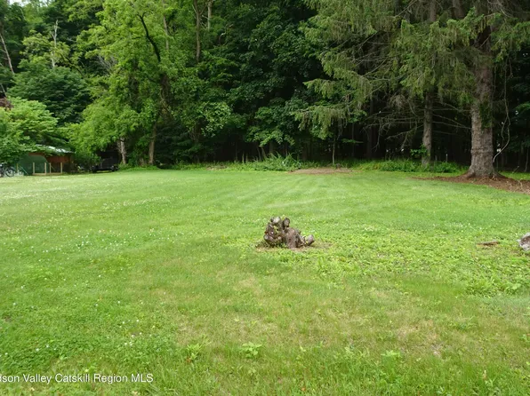 0 Hover Road, Claverack-Red Mills, NY 12513