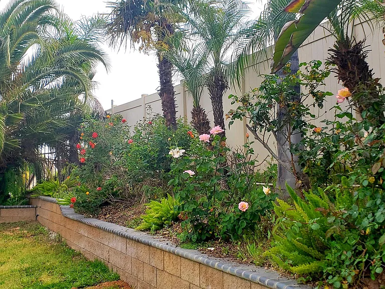 1941 Olympia Fields Dr — Photo 4